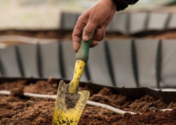 person holding yellow and green gardening shovel