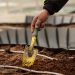 person holding yellow and green gardening shovel