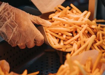 person holding brown wooden stick