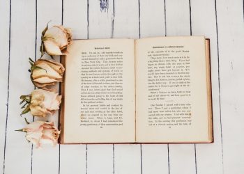 white book opened near four white roses