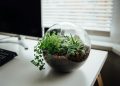 tilt shift lens photo of glass bowl