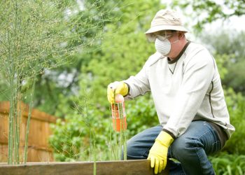 man in white long sleeve shirt and blue denim jeans sitting on brown wooden fence during